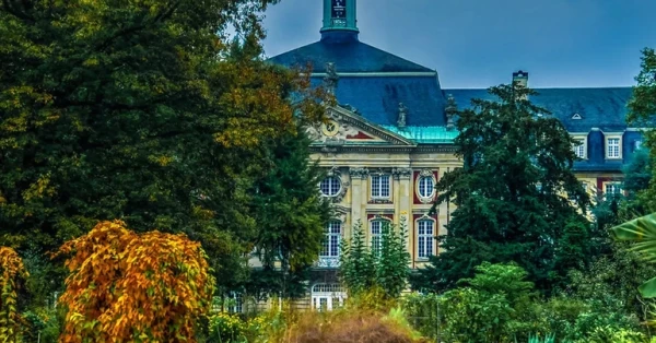 جولة في حديقة قلعة مونستر: دليلك الأمثل 2026 