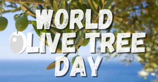 يوم شجرة الزيتون العالمي 2025.. احتفاءٌ بإرثٍ إنساني يعبر العصور