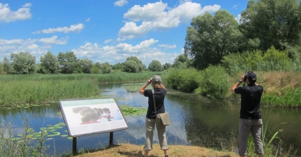 المحميات الطبيعية: عظمة البقاء وكنوز التنوع البيولوجي 