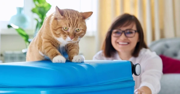 الإقامة في أوروبا مع حيوانك الأليف: أين تقيم دون قلق؟ 