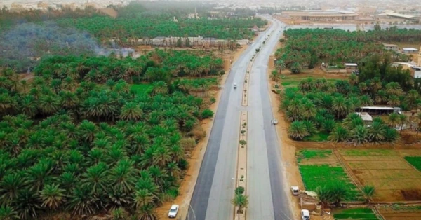 التجارب الزراعية في مزارع القصيم: سياحة بنكهة التمور 