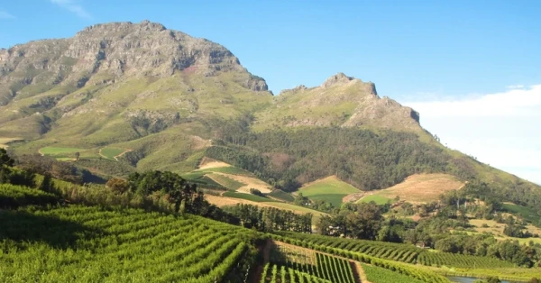 فرانشويك: وجهة تجمع بين الطبيعة والنكهات الراقية في جنوب أفريقيا 