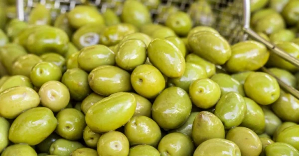 الزيتون.. إليك فوائده الصحية وأضراره المُحتملة