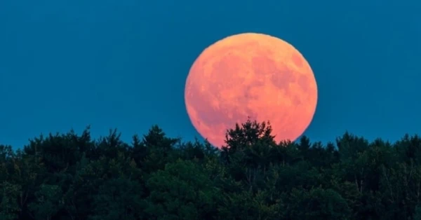 مفاعل نووي على القمر: خطة أمريكية لتعزيز التفوق الفضائي 