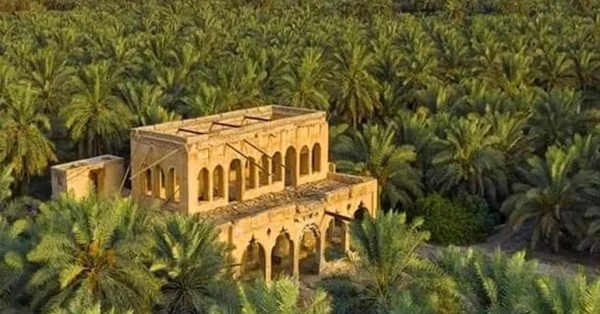 الأحساء وواحتها الخضراء: درة الصحراء النادرة 