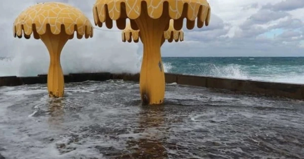 بحر ضباء: شواطئ دافئة في شتاء السعودية 