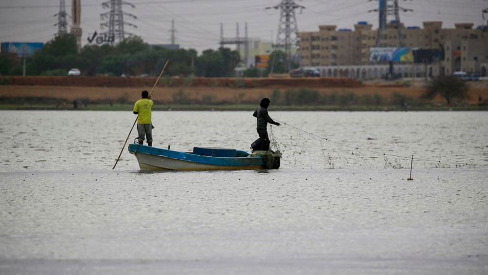 وزير مصري: مواشي إثيوبيا تستهلك ماء أكثر منا والسودان