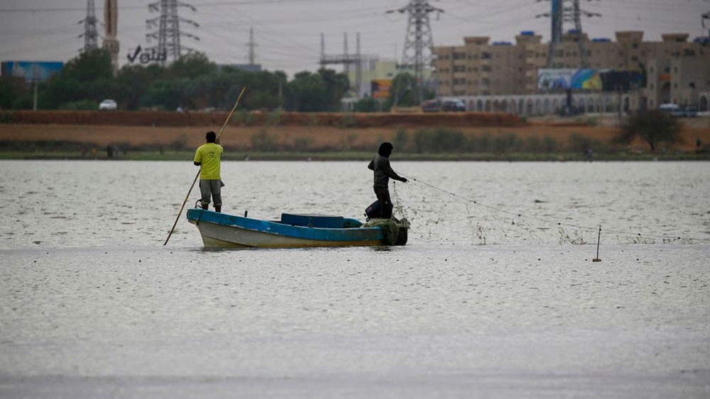 وزير مصري: مواشي إثيوبيا تستهلك ماء أكثر منا والسودان