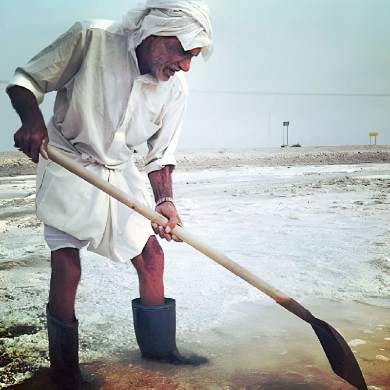 “الملح البحري” البحريني.. بلورات بيضاء من طراز “رخيص وقوي”