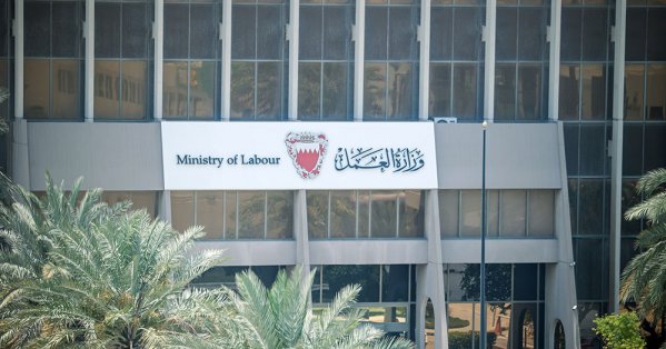 "العمل": ضرورة حجز موعد لمراجعة الوزارة بدءًا الأحد القادم 