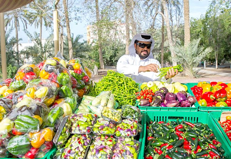 إنجازات “البلديات”: 100 % التحول الرقمي و50 % تقليل في المستندات المطلوبة