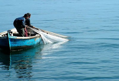 انخفاض تدريجي في الصيد الحرفي المحلي خلال ثلاثة أعوام