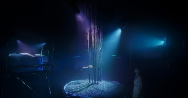 "تيم لاب فينومينا أبوظبي" يكشف عن تجربتين جديدتين ضمن مجموعة أعماله الفنية 