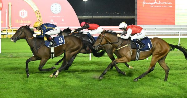 فعاليات وسباقات حافلة على كؤوس هيئة الرياضة واللجنة الأولمبية ومؤسسة دله 