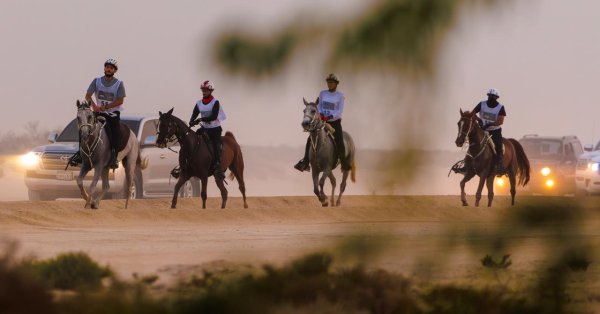 الاتحاد الملكي البحريني للفروسية وسباقات القدرة ينظم بطولة العيد الوطني للقدرة 