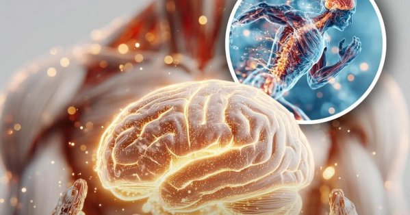 من النشاط البدني إلى التركيز العقلي.. لماذا يحتاج دماغك إلى التحدي؟ 