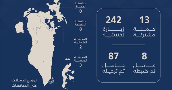 هيئة تنظيم سوق العمل: 255 حملة وزيارة تفتيشية.. وترحيل 87 مخالفًا خلال أسبوع 