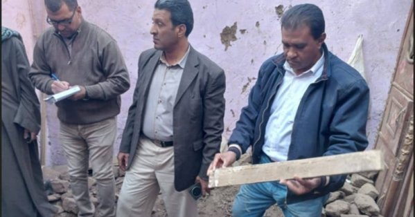 حشرة وراء كارثة انهيارات منازل قرية مصرية 