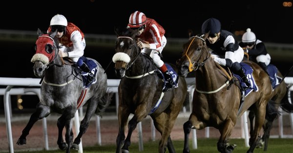 سباق مميّز ومشاركات قوية للفوز بكؤوس شركة «ألبا» 