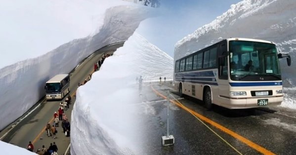 اليابان تفتح "ممر الثلج" الأسطوري أمام العالم 