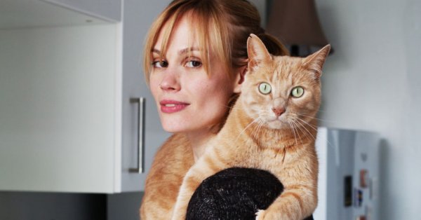 دراسة: القطة تُدلل المرأة.. وتُصدر الأوامر للرجل 