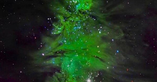 ناسا تُفاجئ العالم بصورة كونية مذهلة .. شجرة عيد الميلاد تتلألأ في أعماق الفضاء 