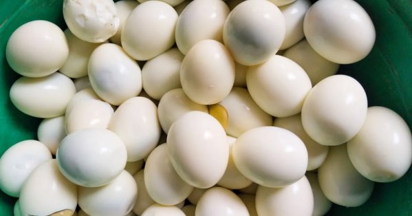 إيمري عن عدم مصافحة أرتيتا له: انتظرته كثيراً ليست مشكلة! #صحيفة_البلاد 