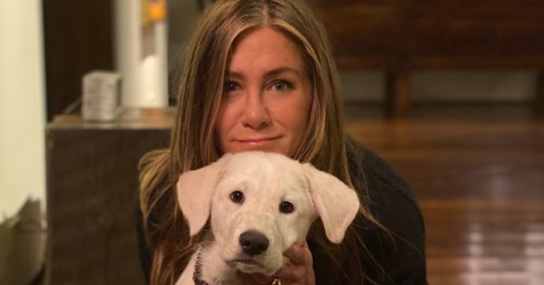 جينيفر أنيستون تطلق صرخة أمل لإنقاذ حيوانات العالم 