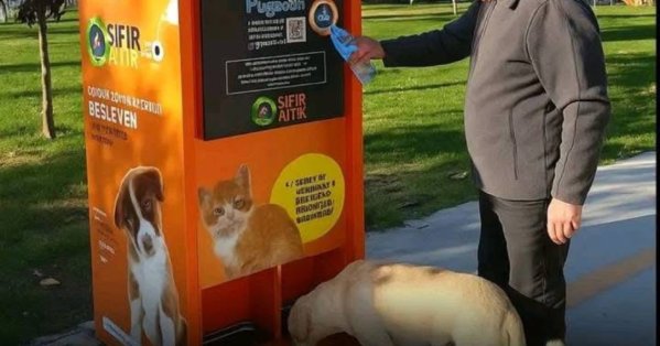 عبوة بلاستيك مقابل وجبة.. مبادرة تركية تدمج الرفق بالحيوان بحماية البيئة 