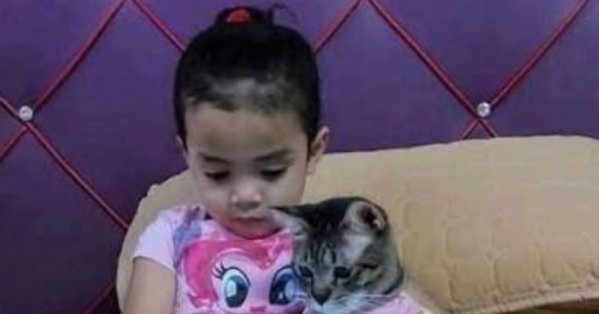 أب يشتري قطة لابنته لإبعادها عن الهاتف... فكانت النتيجة عكسية تماماً 