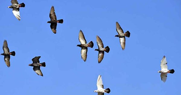 الطقس في مملكة البحرين #صحيفة_البلاد 