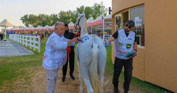 قرية البحرين الدولية تحتضن السباقات الدولية والمحلية لبطولة كأس خالد بن حمد للقدرة 