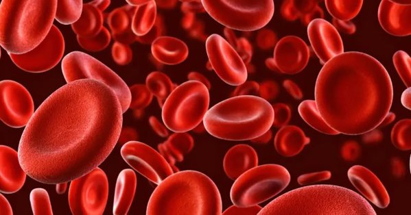 ذكاء اصطناعي يتفوّق على الأطباء.. ويرصد أخطر أمراض الدم 