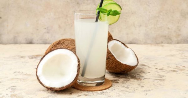 باحثون: "ماء جوز الهند يذيب حصى الكلى طبيعياً دون جراحة" 