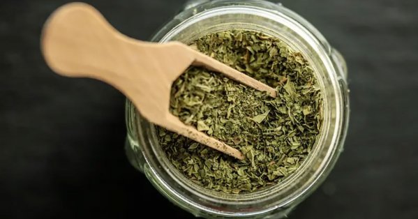 الزعتر يدخل عصر "الطب الحديث" بجرعات علاجية محسوبة 