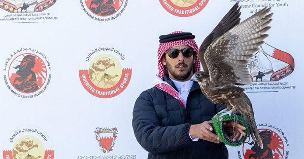 منافسات قوية في أشواط المحترفين بموسم ناصر بن حمد للصقور والصيد 