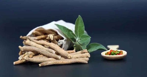 بعد رواجها عالميا.. اعرف أكثر عن الأشواغندا وتأثيراتها #صحيفة_البلاد 