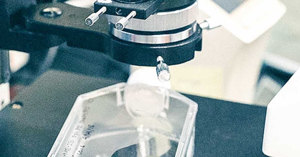 مجموعة طبية صينية تنوي تأسيس مشروع في البحرين 