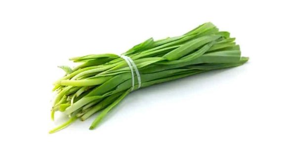 الكراث.. خضار مهمل بفوائد كبيرة لصحة القلب والمناعة والعظام #صحيفة_البلاد 