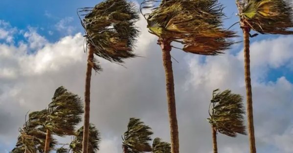 الجزائر.. توقيف الدراسة وتعليق رحلات جوية إثر رياح عاتية 