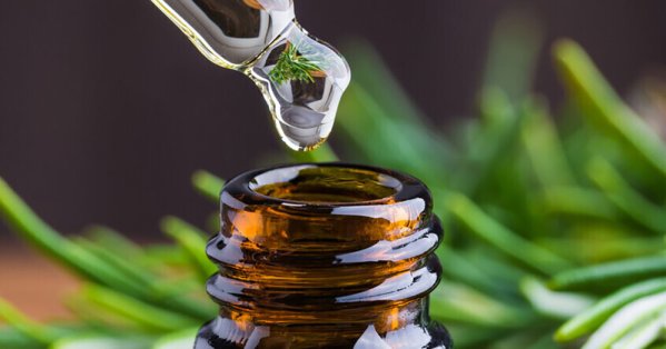 مستخلص إكليل الجبل يحارب التهاب الدماغ المصاحب لعلاج السرطان 