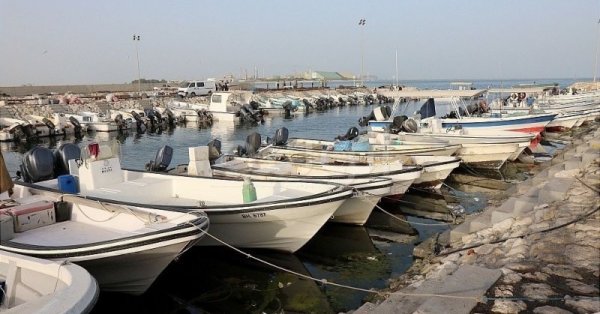 تشديد الرقابة على العمالة الأجنبية بصيد الأسماك 